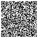 QR code with Premier Audio Visual contacts