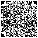 QR code with Pruitt Works contacts