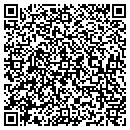 QR code with County Seat Antiques contacts