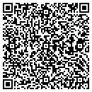 QR code with Blue Waters Pool Care contacts