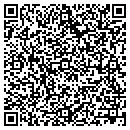 QR code with Premier Talent contacts
