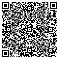 QR code with Insyte contacts