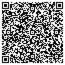 QR code with Precious Possessions contacts