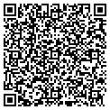 QR code with Msg LC contacts