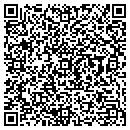 QR code with Cognetix Inc contacts