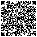 QR code with Cyborg Communications contacts