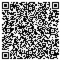 QR code with D-Todo contacts
