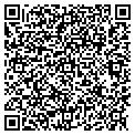 QR code with Q Floors contacts