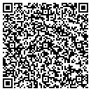 QR code with Precision European contacts