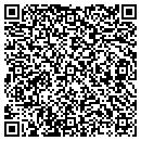 QR code with Cybersym Technologies contacts