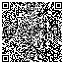 QR code with C S & T Body & Paint contacts