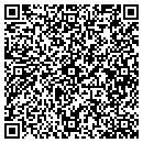 QR code with Premier Data Corp contacts