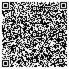 QR code with Pulse Metrics Inc contacts