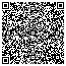 QR code with Capsoft Development contacts