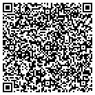 QR code with Pulsar Investment Property contacts