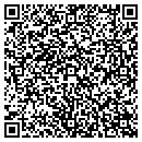QR code with Cook & Sons Fencing contacts