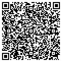 QR code with N Salon contacts
