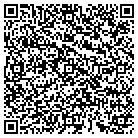 QR code with Public Strategies Group contacts