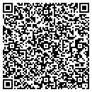 QR code with Carpet contacts