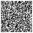 QR code with Public Storage contacts