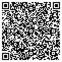 QR code with Cogbox contacts