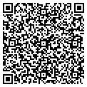 QR code with Cows contacts