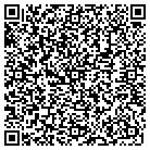 QR code with Public Image Consultants contacts