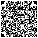 QR code with Pynes Chem-Dry contacts