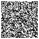 QR code with Public Storage contacts
