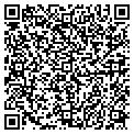 QR code with Bechtel contacts