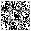 QR code with Cees TV & Vcr Repair contacts