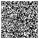 QR code with Professional Group contacts
