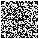 QR code with Castleview Dialysis contacts