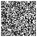 QR code with Pratt Systems contacts
