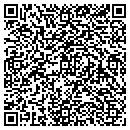 QR code with Cyclops Consulting contacts
