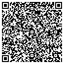QR code with Briar Patch Antiques contacts