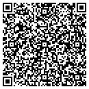 QR code with Carlson Interprizes contacts