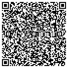 QR code with Blimpie Subs & Salads contacts