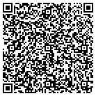 QR code with Bkg Painters Brian Gurr contacts