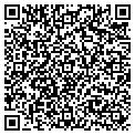 QR code with Beacon contacts