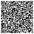 QR code with Professional Builders contacts