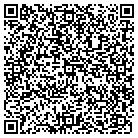 QR code with Pump & Seal Tech Service contacts