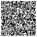 QR code with Shell contacts