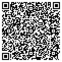 QR code with P Paint contacts