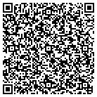 QR code with Public Safety Department contacts