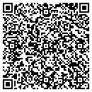 QR code with Colour Systems Intl contacts