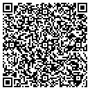 QR code with Professional Installs contacts