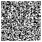 QR code with Badger Daylighting contacts