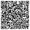 QR code with Netfox contacts