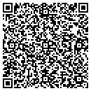 QR code with Castleview Dialysis contacts